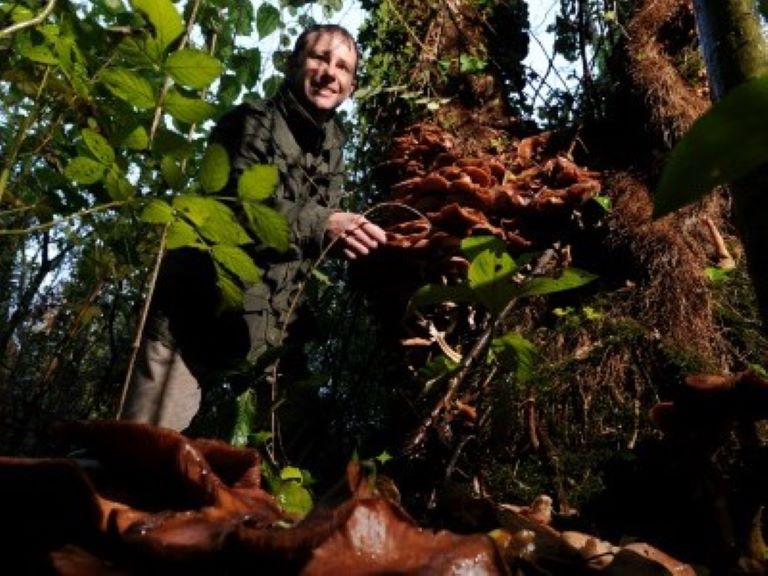 Wild Food UK Make the News