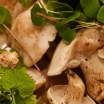 11:00 Blenheim Palace Food Festival Mini Foraging Course