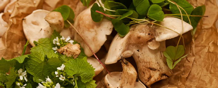 1:30 Blenheim Palace Food Festival Mini Foraging Course