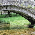 Yorkshire Dales Summer Foraging Course