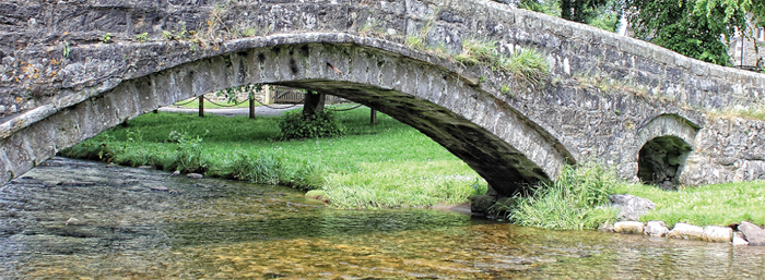 Yorkshire Dales Summer Foraging Course