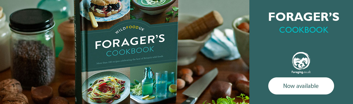 The Wildfood UK Forager's cook book