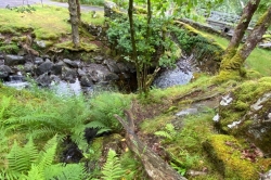 Habitat