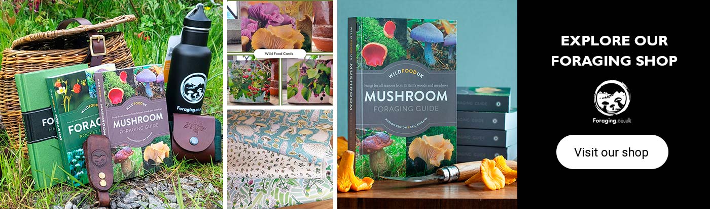 Visit our foraging shop