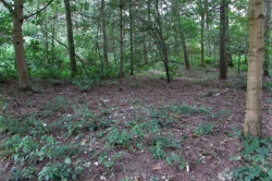 Habitat