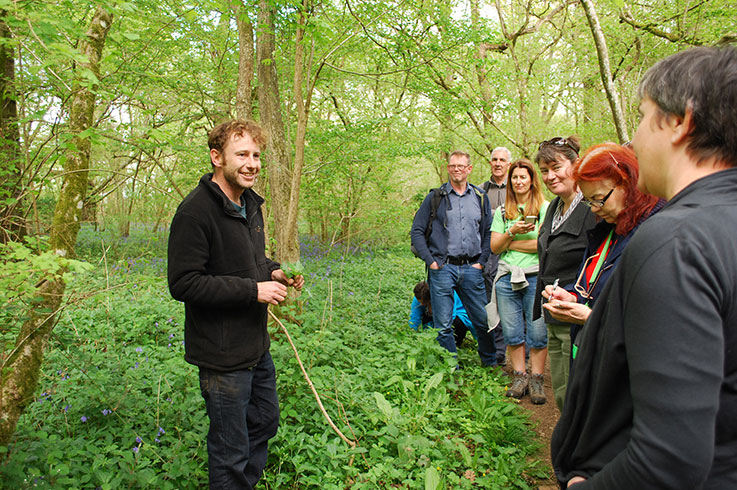 Foraging Courses