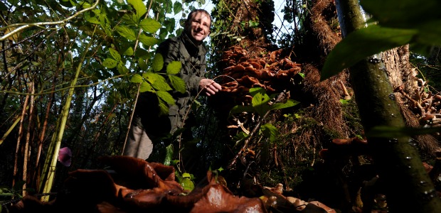 Wild Food UK Make the News