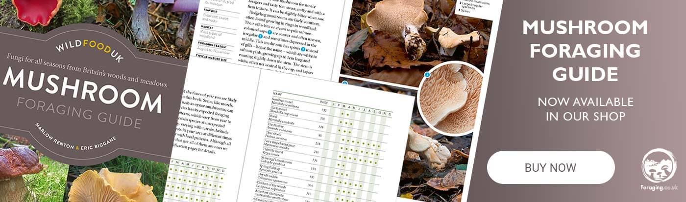 The Wild Food UK Mushroom Foraging Guide