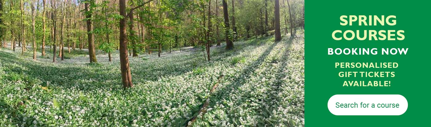 Wildfood Foraging Courses