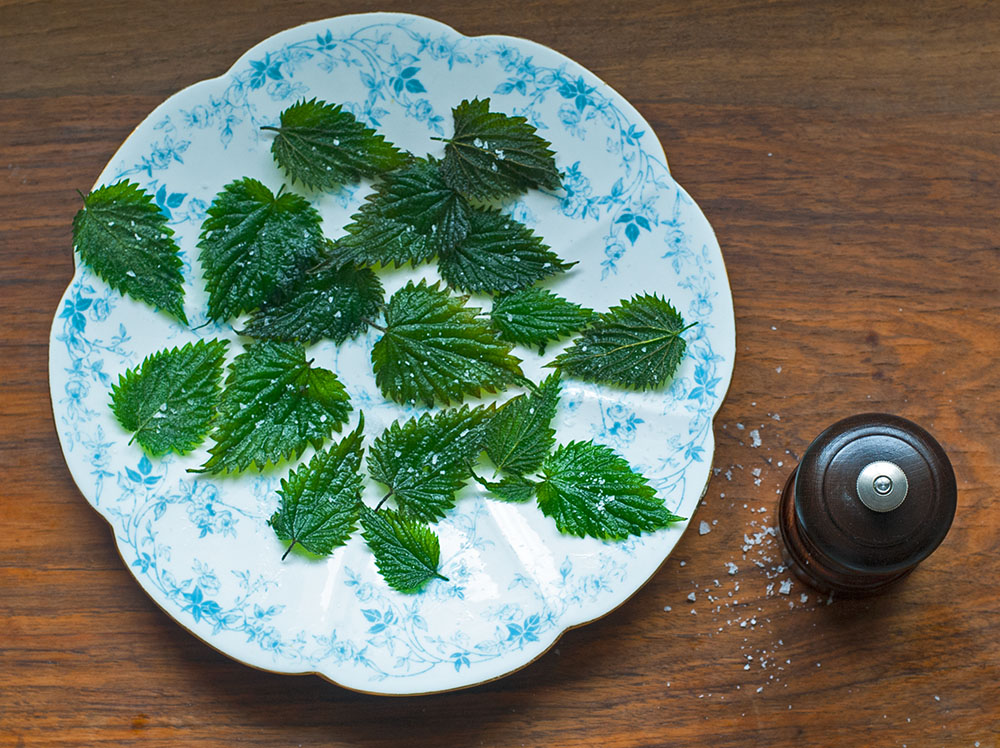 Nettle Crisps