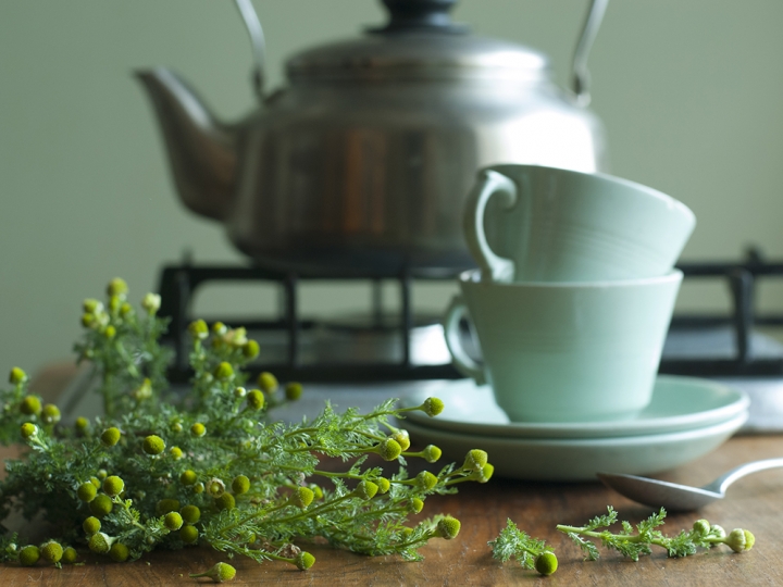 Pineapple Weed Tea