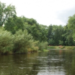 Herefordshire, The Weir Garden Autumn Foraging Course