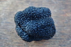 Truffles