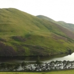 Edinburgh Summer Foraging Course
