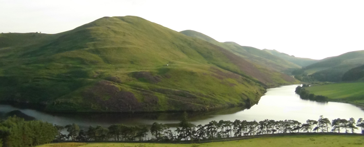 Edinburgh Summer Foraging Course