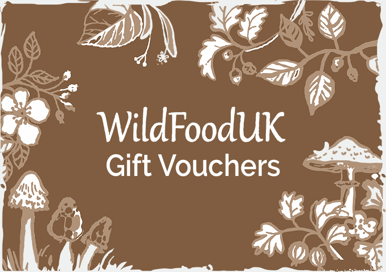 Gift Voucher