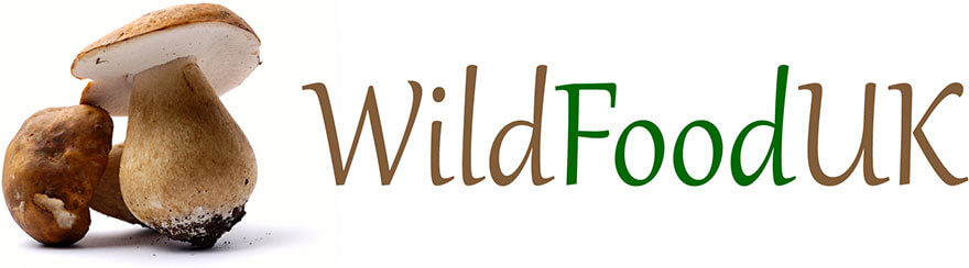 Wild Food UK