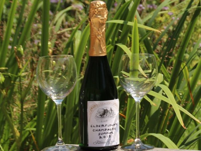 Elderflower Champagne – the brewers way