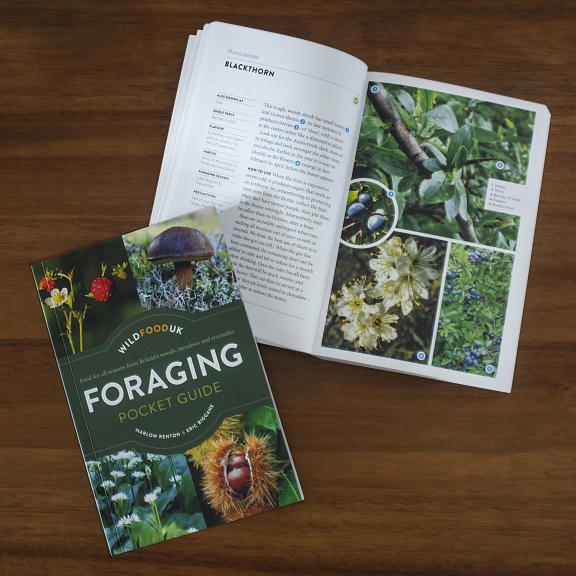 The Wild Food UK Foraging Pocket Guide