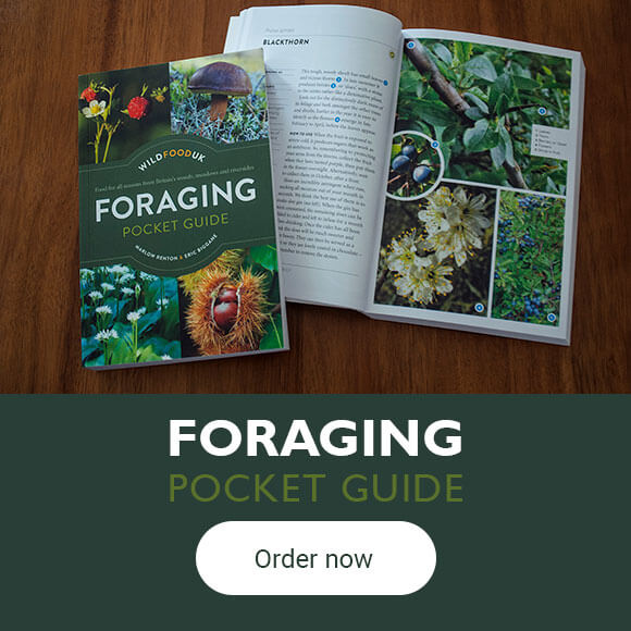Foraging Pocket Guide