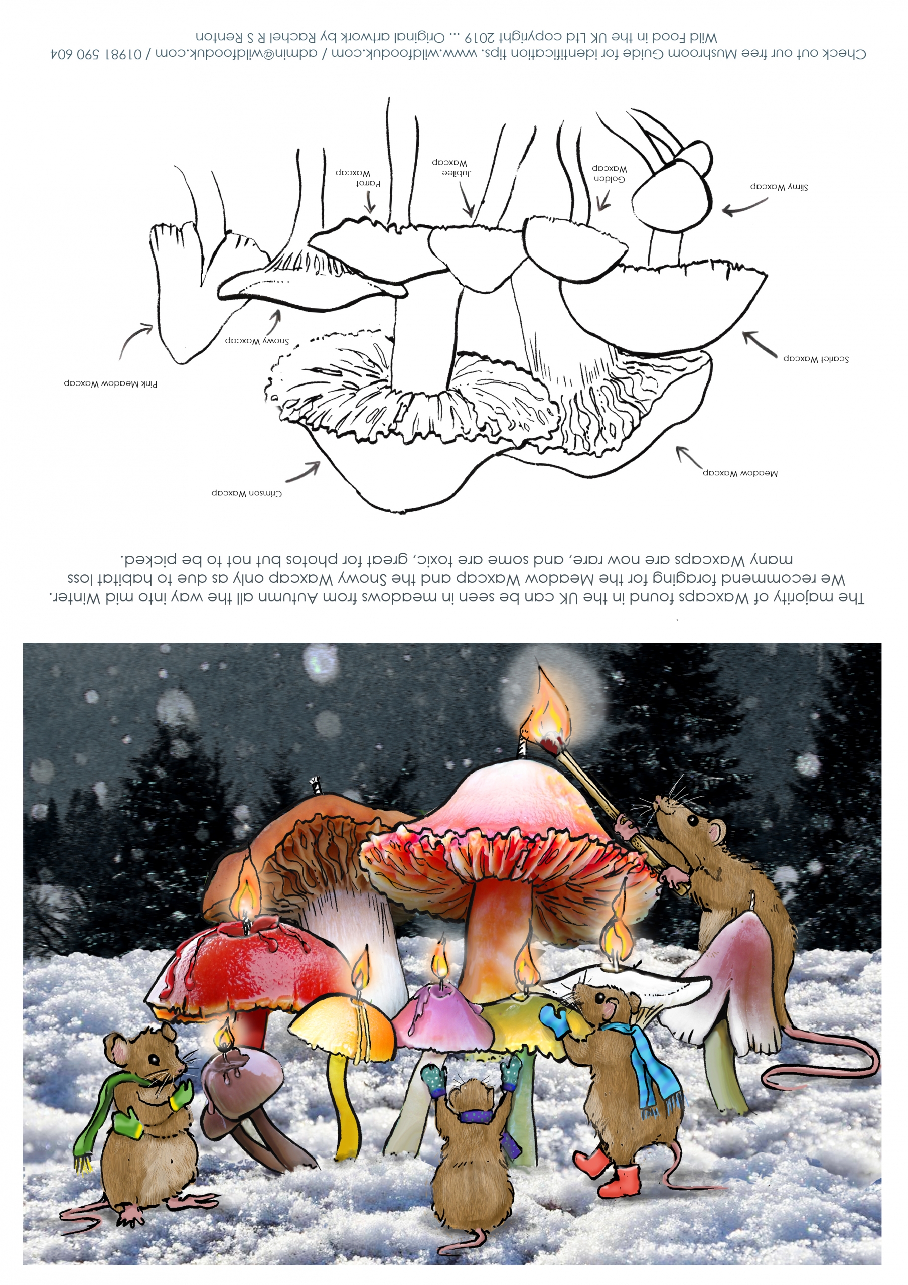 Print your own Christmas Card