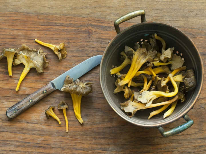 Braised Chicken in White Wine with Winter Chanterelles