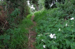 Habitat