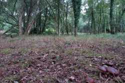 Habitat