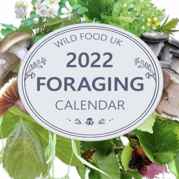 2022 Calendar