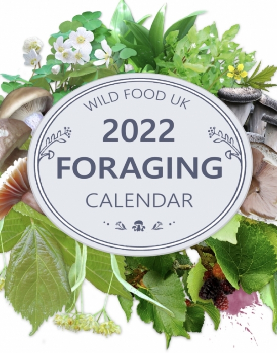 2022 Calendar