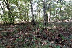 Habitat