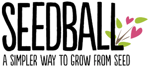 Seedball