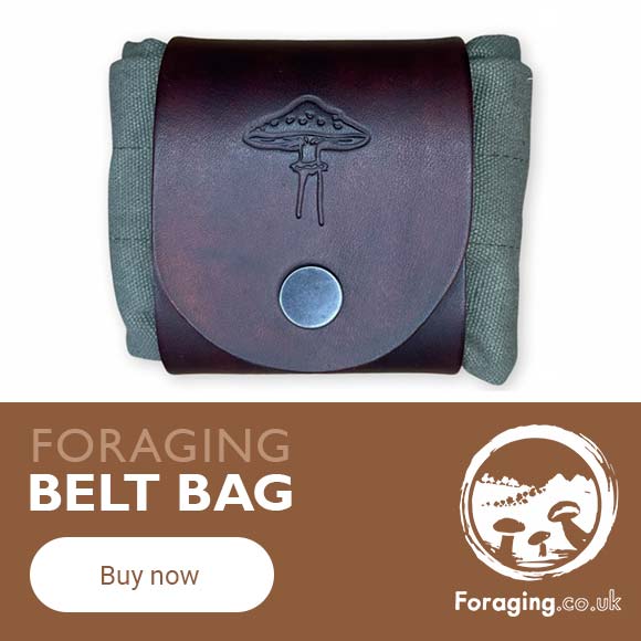 Foraging Belt Bags