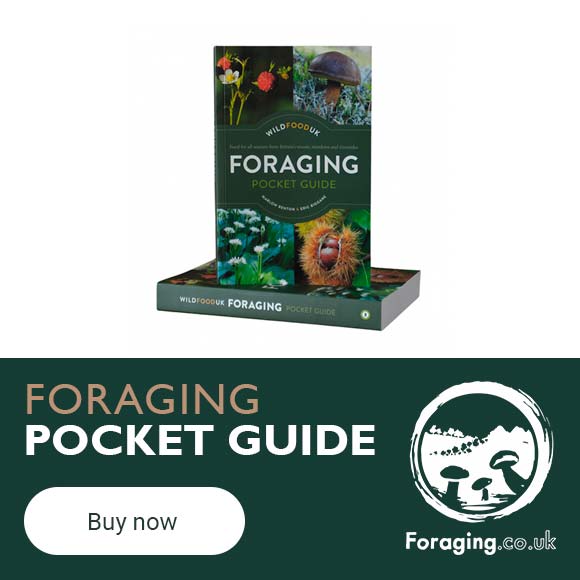 Foraging Pocket Guide