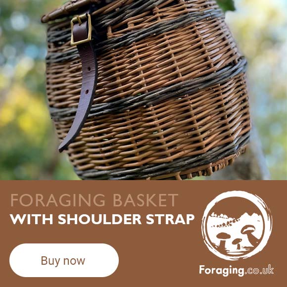 Foraging Basket with shoulder strap
