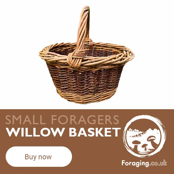Small foragers willow basket