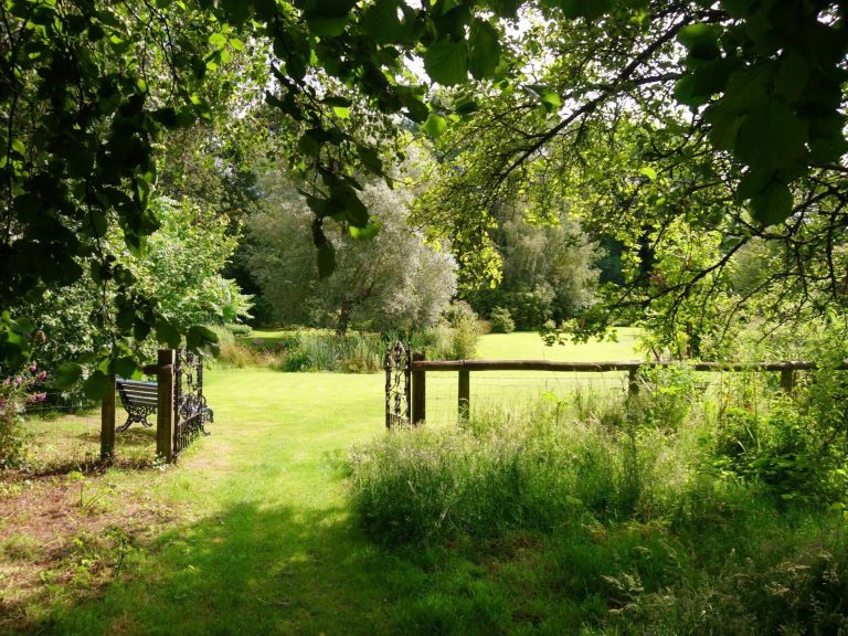 Garden & Meadow Foraging with the National Garden Scheme