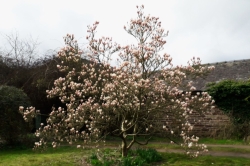 Habitat