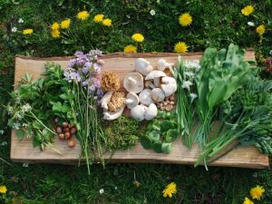 Foraging For Beginners