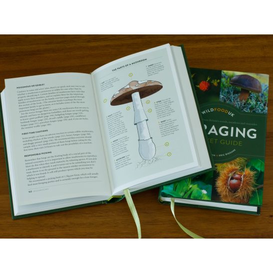Foraging Pocket Guide Hardback Edition - Image 3