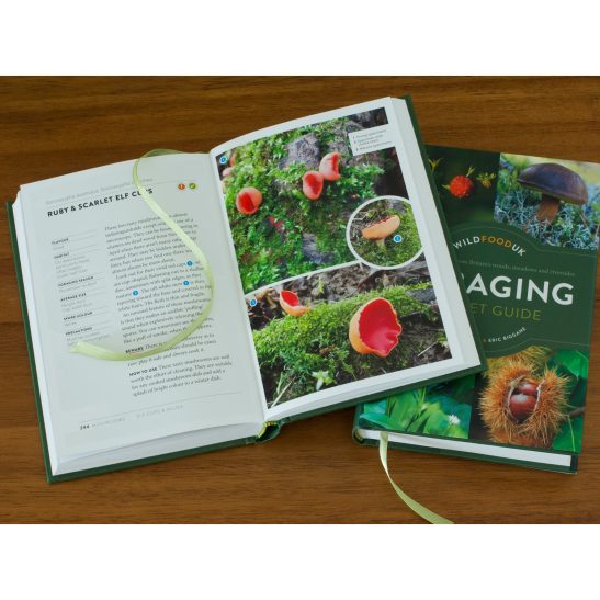 Foraging Pocket Guide Hardback Edition - Image 2