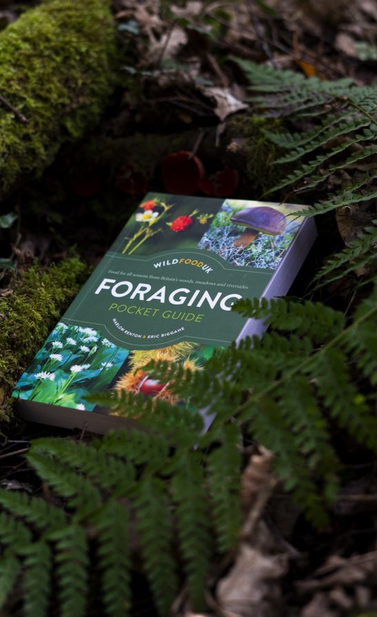 Foraging Pocket Guide - Image 3