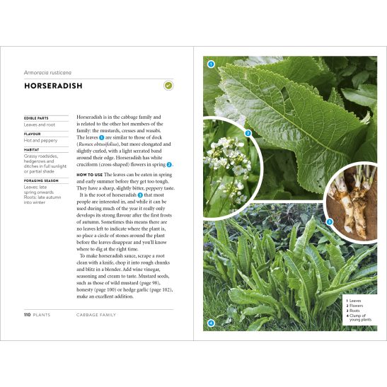 Foraging Pocket Guide - Image 7
