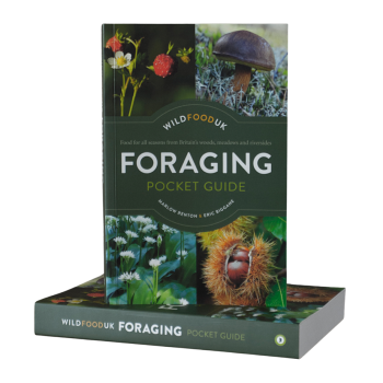 Foraging Pocket Guide