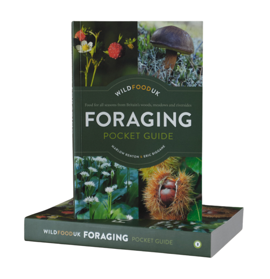 Foraging Pocket Guide