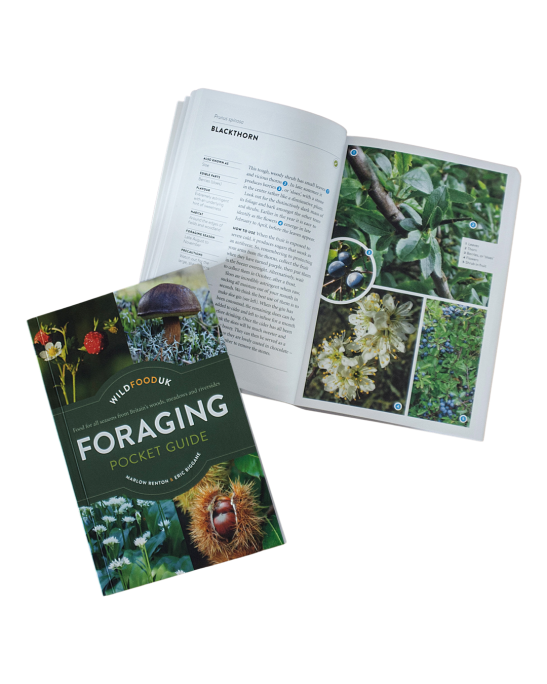 Foraging Pocket Guide - Image 5
