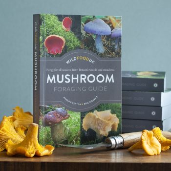 Mushroom Foraging Guide