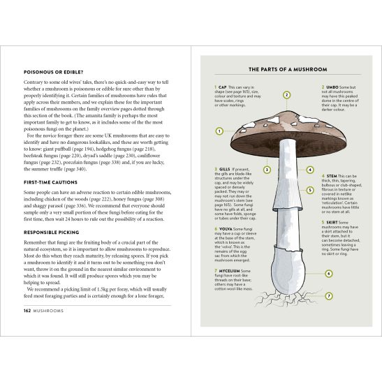 Foraging Pocket Guide - Image 8