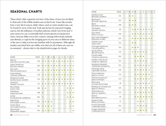 Mushroom Foraging Guide - Image 3