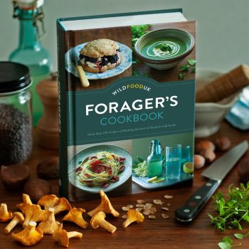 The Wild Food UK Forager's Cookbook